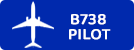 B738 Pilot
